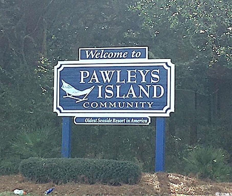 Tbd Tbd Gray Man's Loop Pawleys Island, SC 29585 - Photo 11 of 16