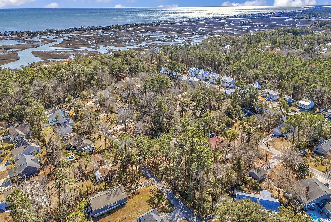 Tbd Tbd Gray Man's Loop Pawleys Island, SC 29585 - Photo 12 of 16