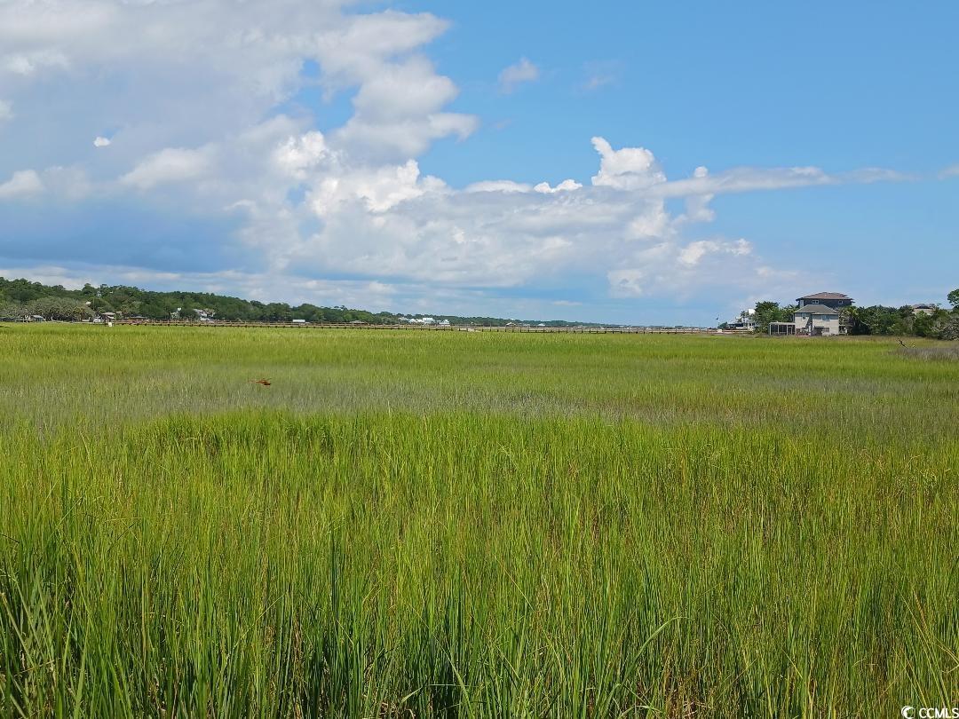 Tbd Tbd Gray Man's Loop Pawleys Island, SC 29585 - Photo 13 of 16 View of nature with a rural view
