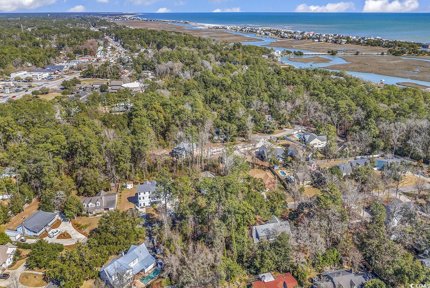 Tbd Tbd Gray Man's Loop Pawleys Island, SC 29585 - Photo 14 of 16