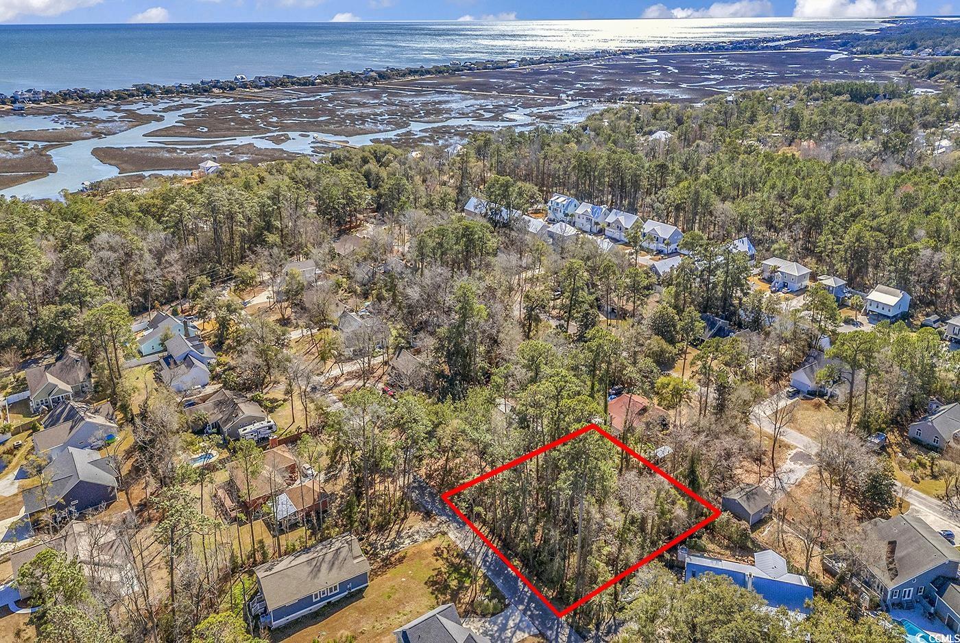 Tbd Tbd Gray Man's Loop Pawleys Island, SC 29585 - Photo 16 of 16