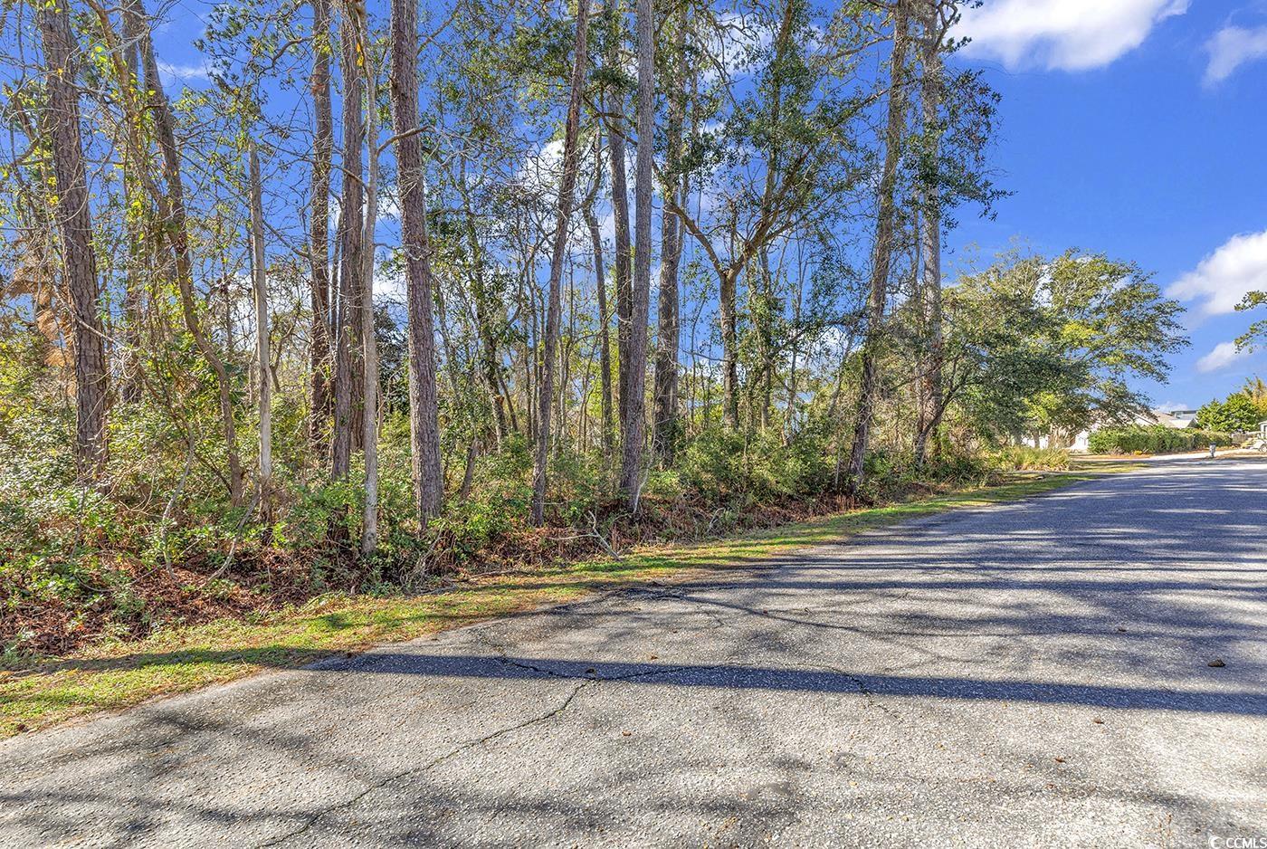 Tbd Tbd Gray Man's Loop Pawleys Island, SC 29585 - Photo 2 of 16