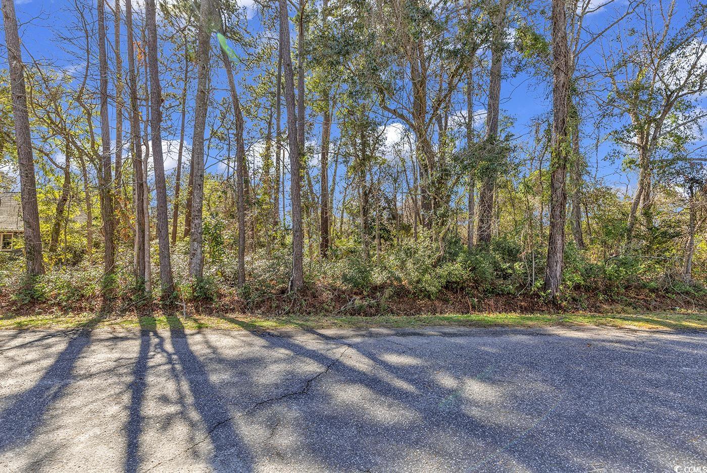 Tbd Tbd Gray Man's Loop Pawleys Island, SC 29585 - Photo 3 of 16