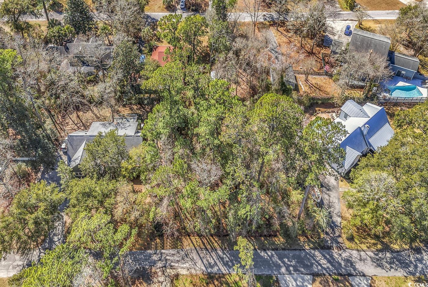 Tbd Tbd Gray Man's Loop Pawleys Island, SC 29585 - Photo 4 of 16