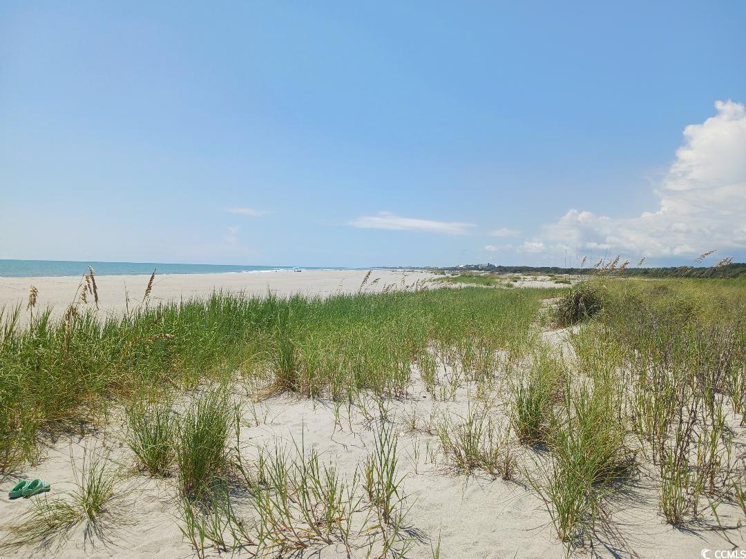 Tbd Tbd Gray Man's Loop Pawleys Island, SC 29585 - Photo 6 of 16