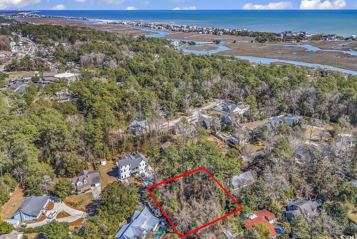 Tbd Tbd Gray Man's Loop Pawleys Island, SC 29585 - Photo 7 of 16