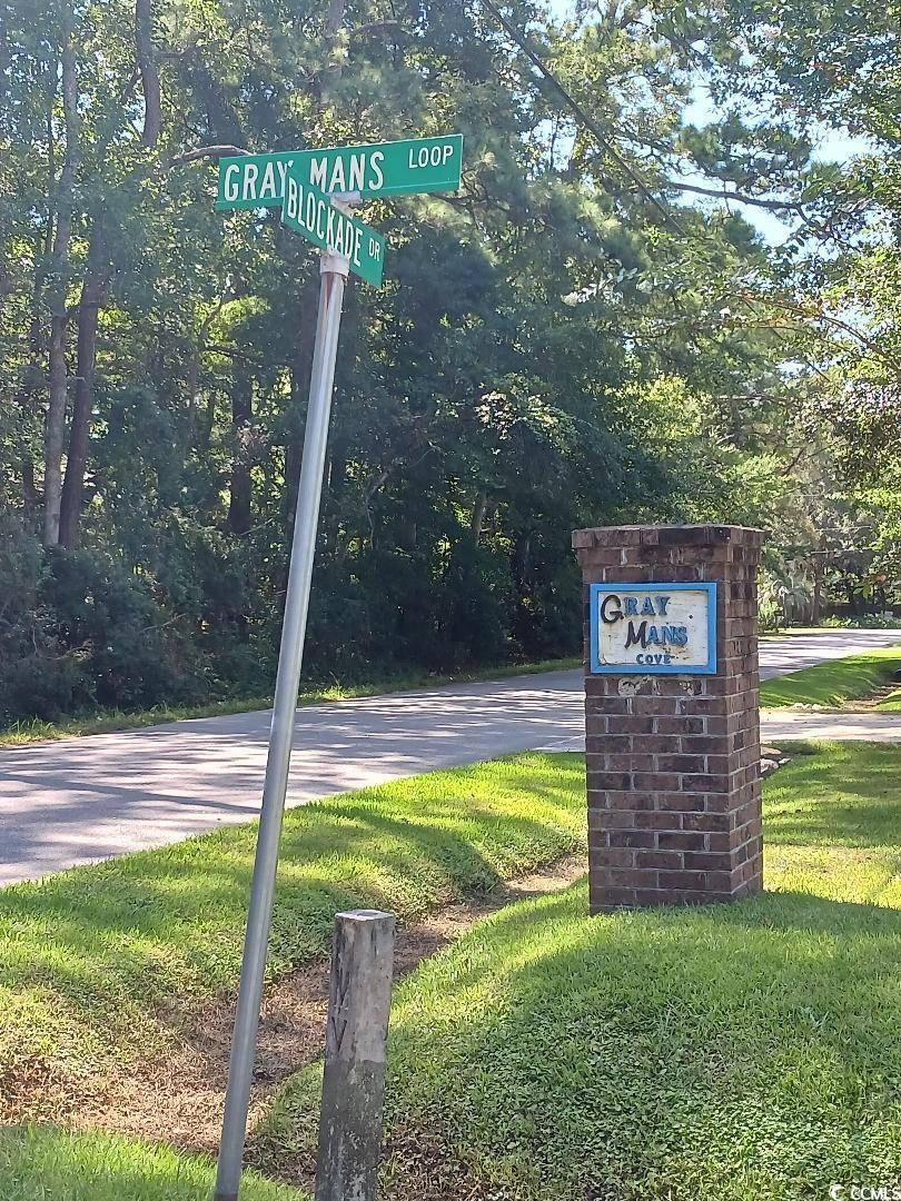 Tbd Tbd Gray Man's Loop Pawleys Island, SC 29585 - Photo 9 of 16