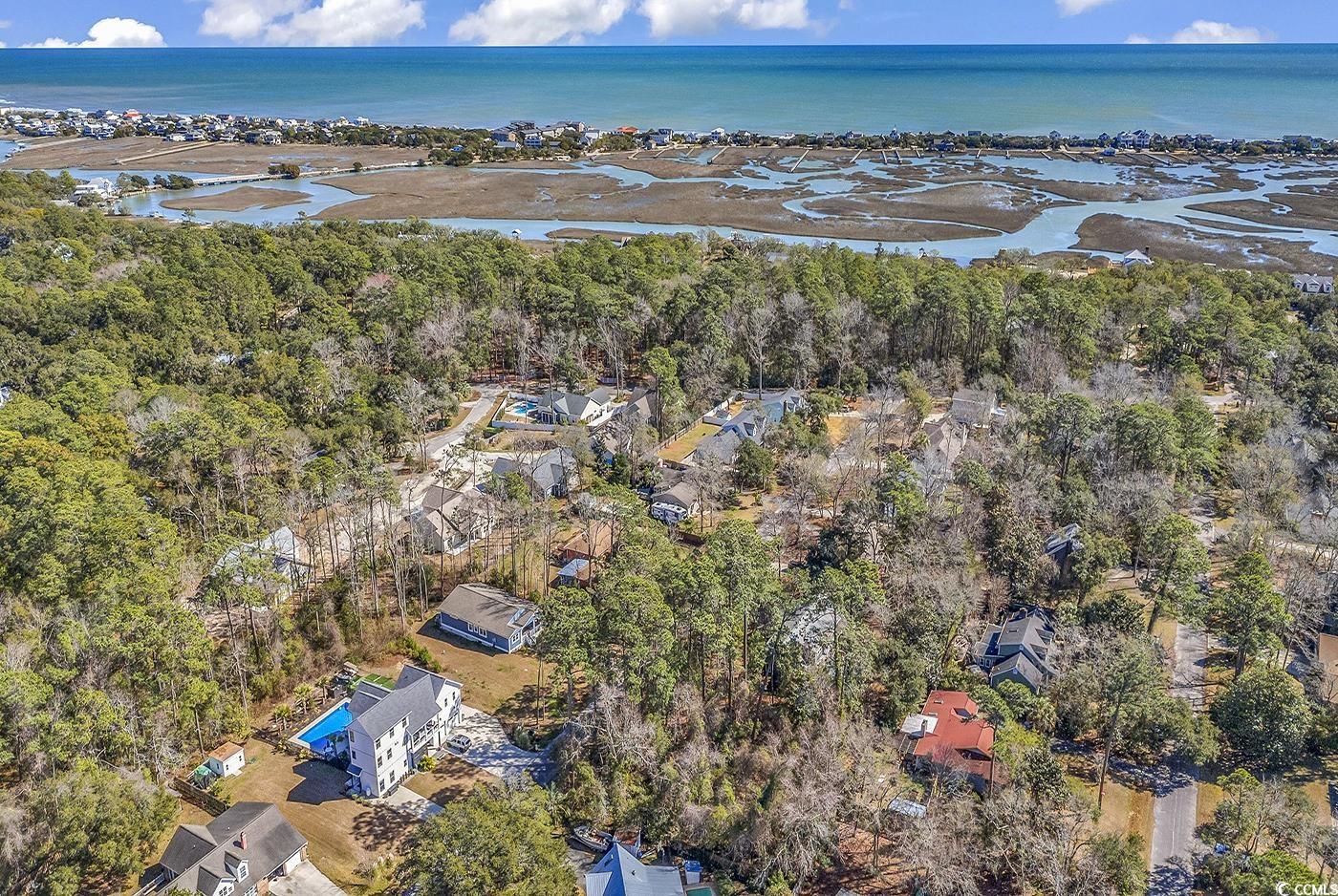 Tbd Tbd Gray Man's Loop Pawleys Island, SC 29585 - Photo 10 of 16