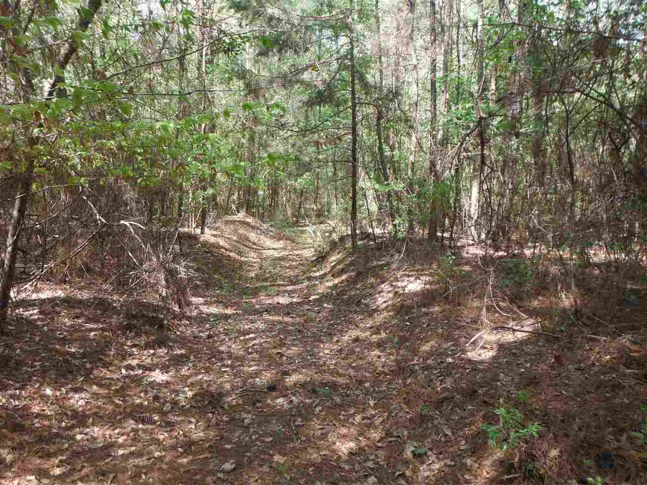 746 Hammond Road Forest, MS 39074 - Photo 1 of 47 Photo 1
