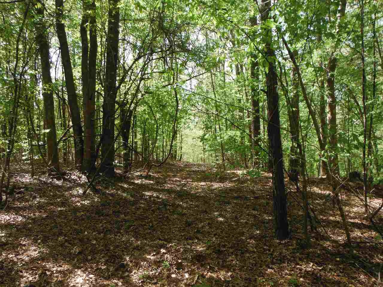 746 Hammond Road Forest, MS 39074 - Photo 11 of 47 Photo 11