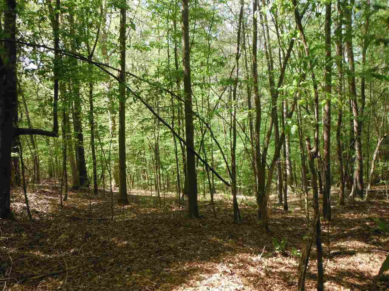 746 Hammond Road Forest, MS 39074 - Photo 12 of 47 Photo 13