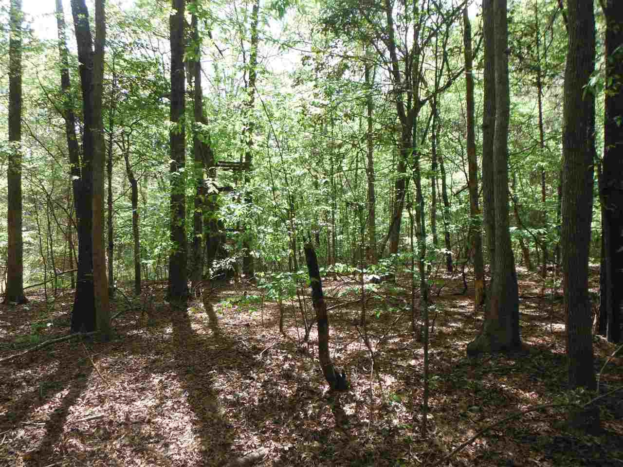 746 Hammond Road Forest, MS 39074 - Photo 13 of 47 Photo 16