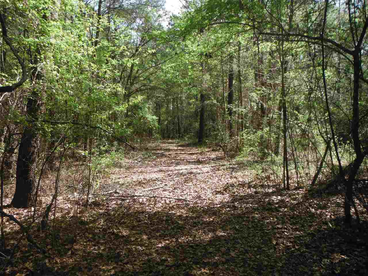 746 Hammond Road Forest, MS 39074 - Photo 14 of 47 Photo 17