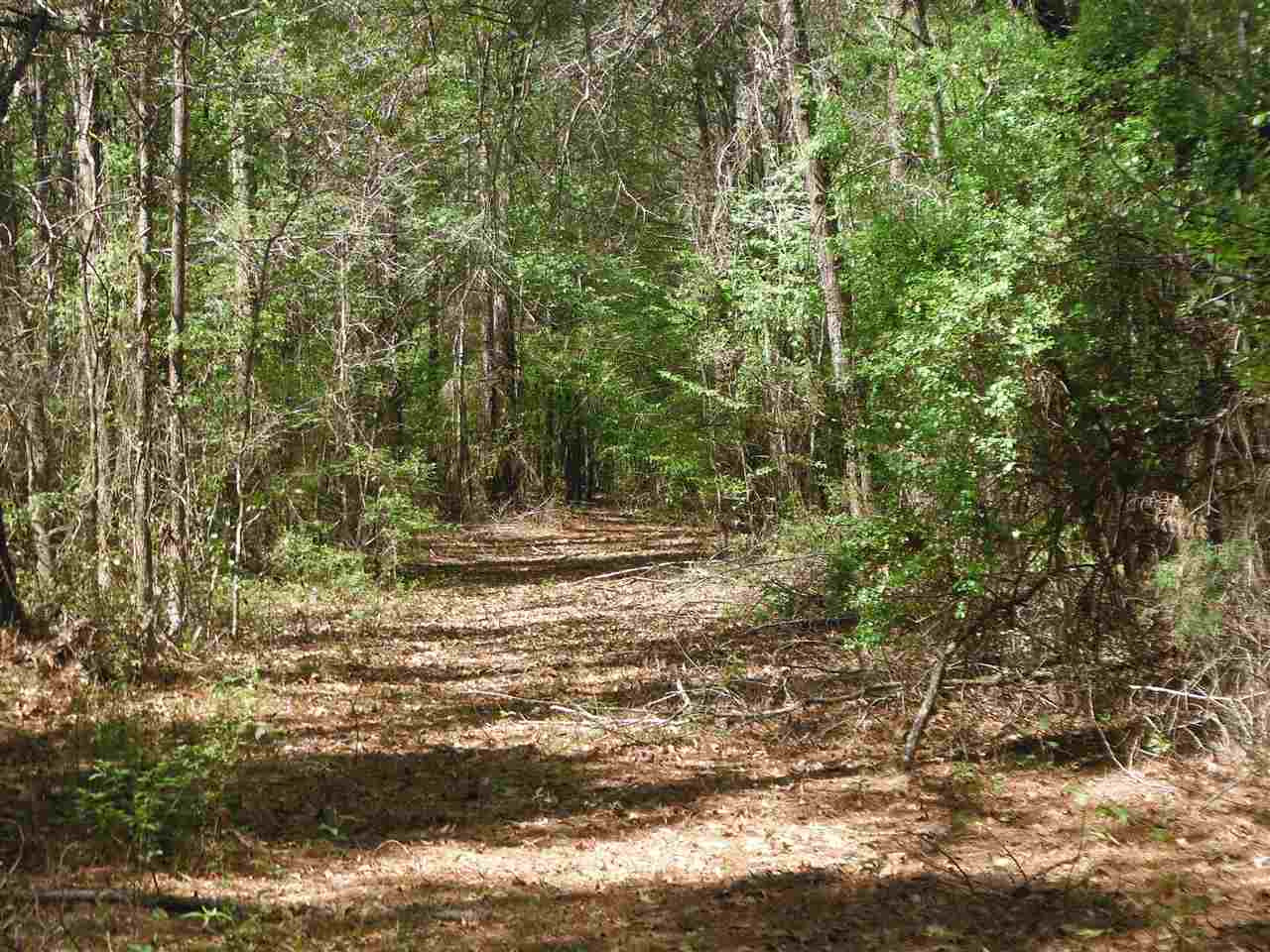 746 Hammond Road Forest, MS 39074 - Photo 15 of 47 Photo 18