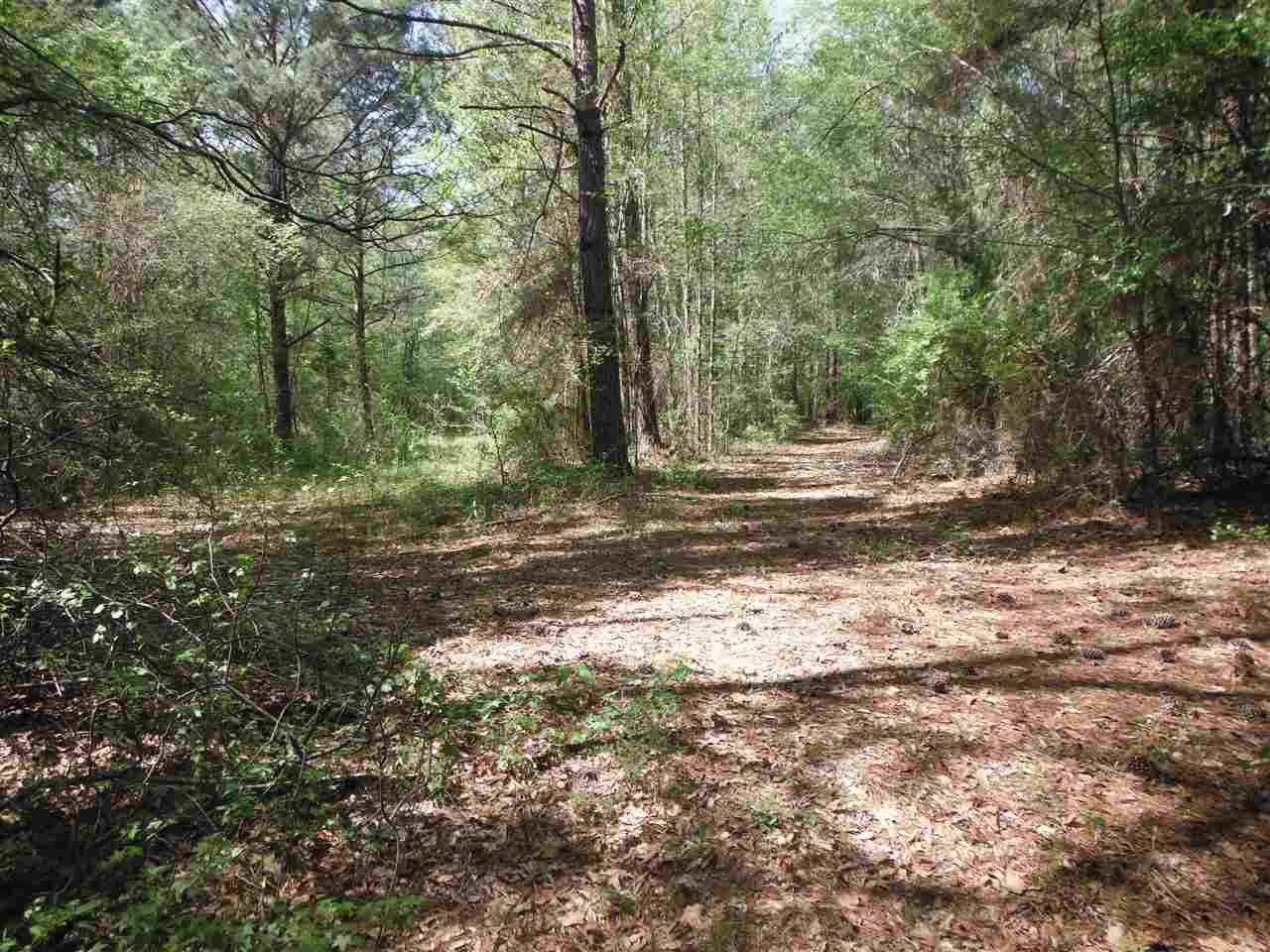 746 Hammond Road Forest, MS 39074 - Photo 16 of 47 Photo 19