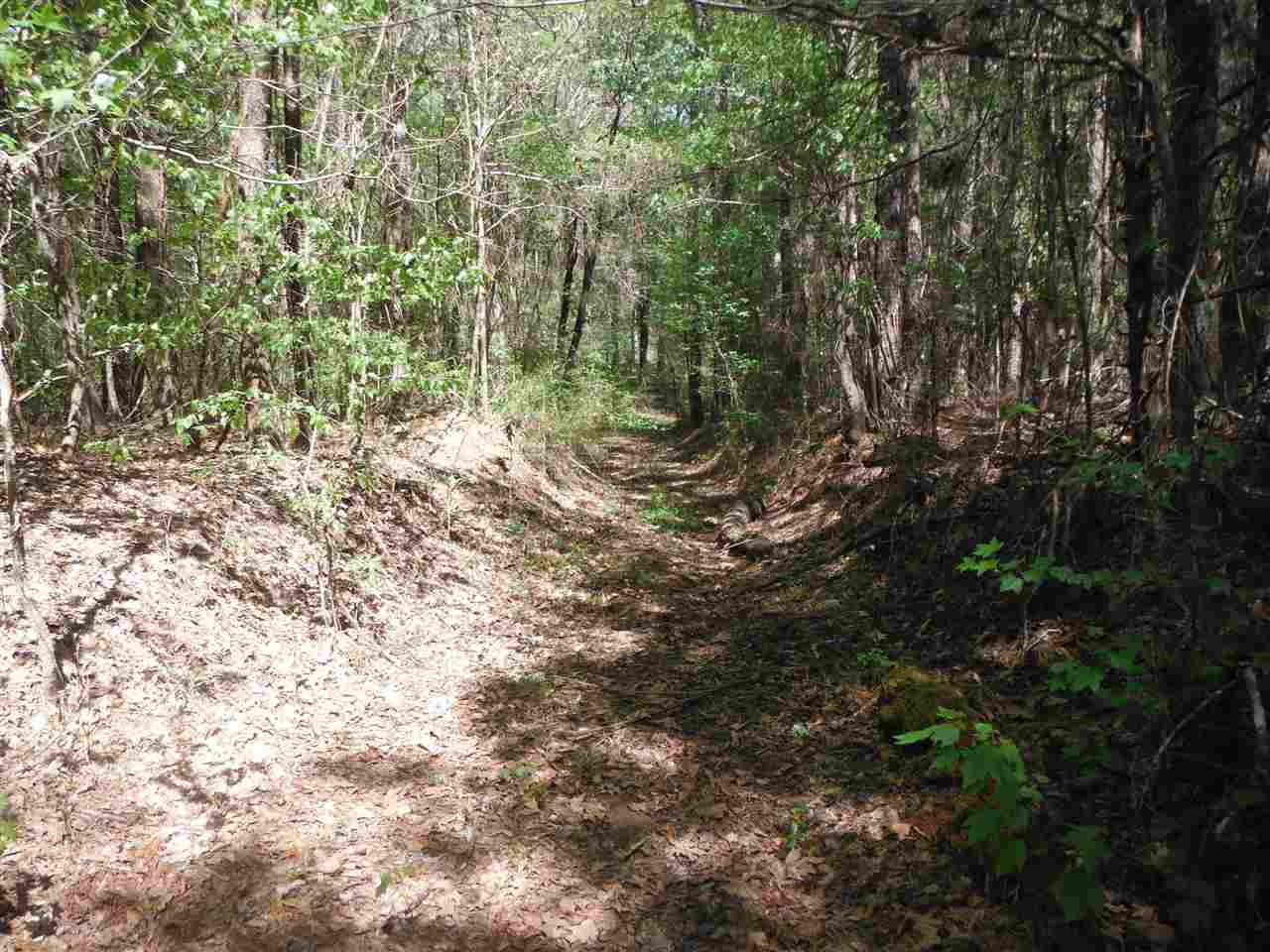 746 Hammond Road Forest, MS 39074 - Photo 17 of 47 Photo 20