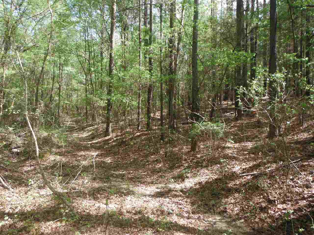 746 Hammond Road Forest, MS 39074 - Photo 18 of 47 Photo 21