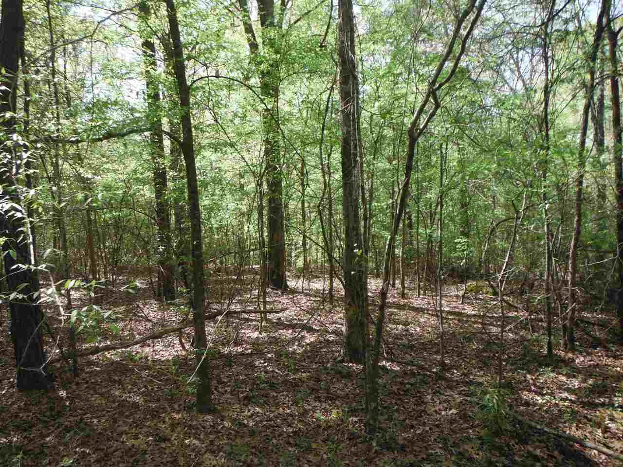 746 Hammond Road Forest, MS 39074 - Photo 20 of 47 Photo 23