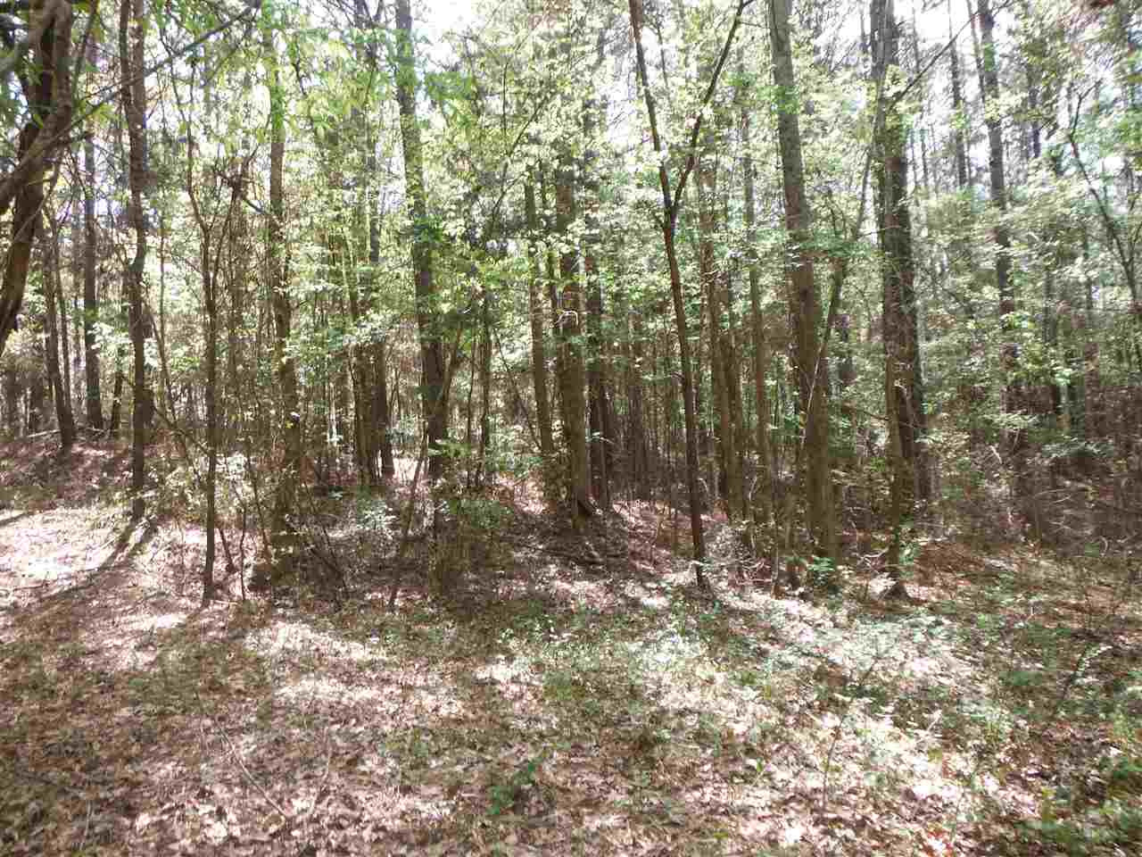 746 Hammond Road Forest, MS 39074 - Photo 2 of 47 Photo 2