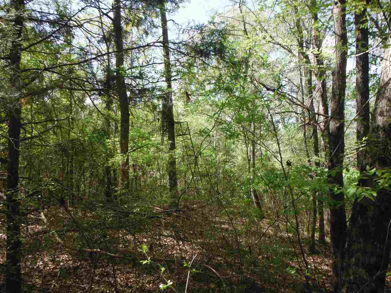 746 Hammond Road Forest, MS 39074 - Photo 21 of 47 Photo 24