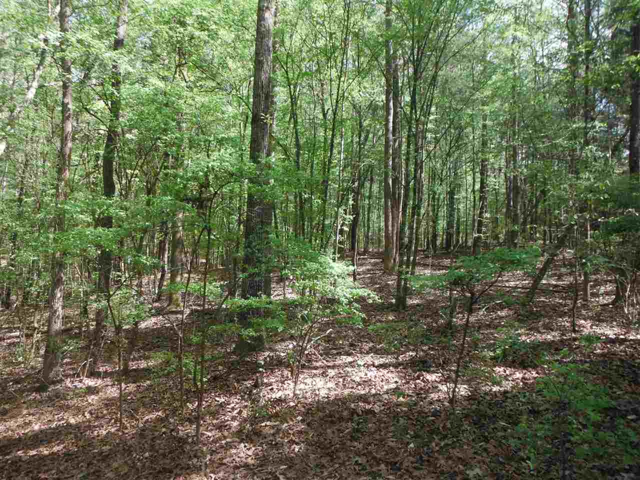 746 Hammond Road Forest, MS 39074 - Photo 22 of 47 Photo 25