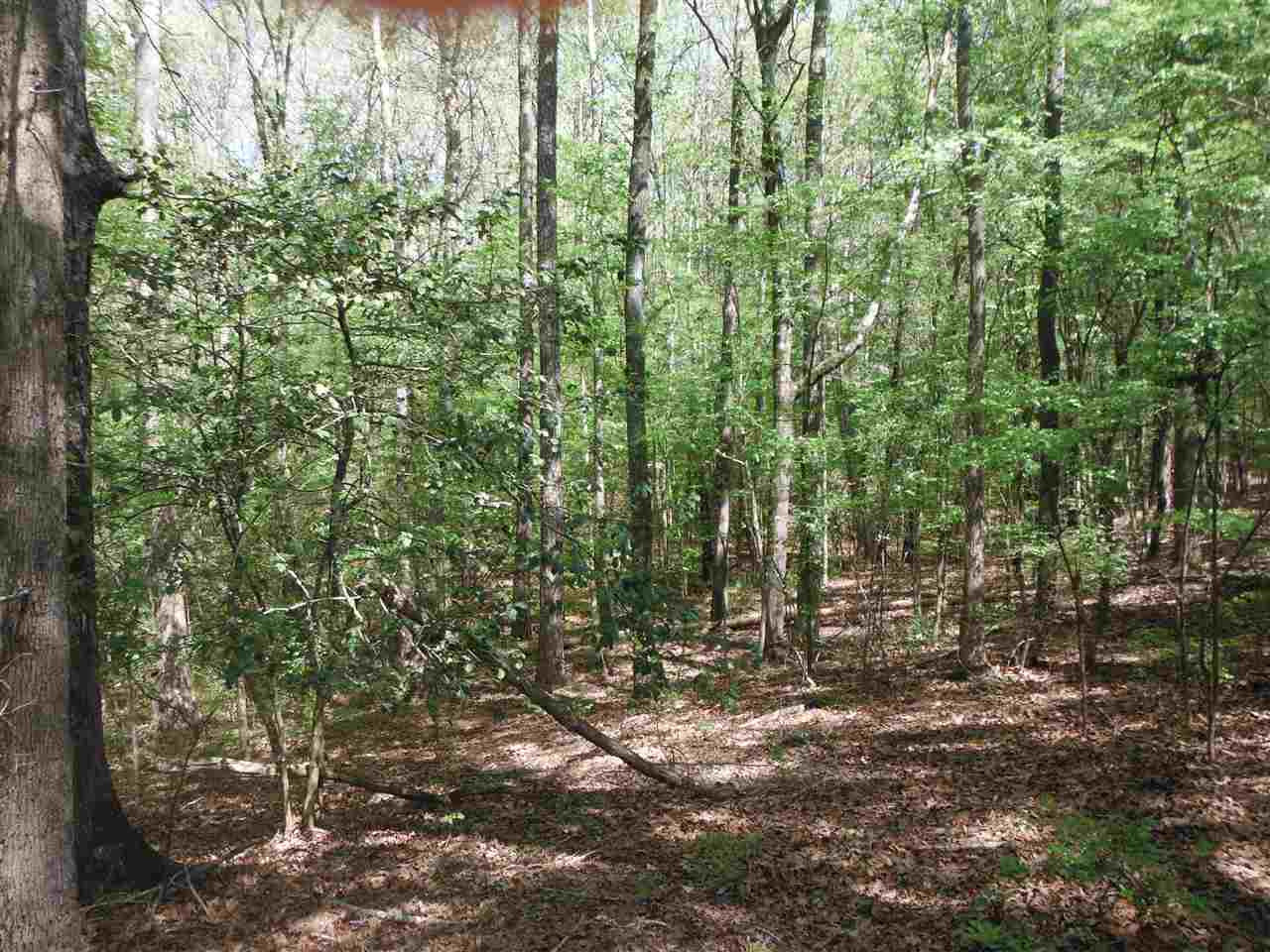 746 Hammond Road Forest, MS 39074 - Photo 23 of 47 Photo 26