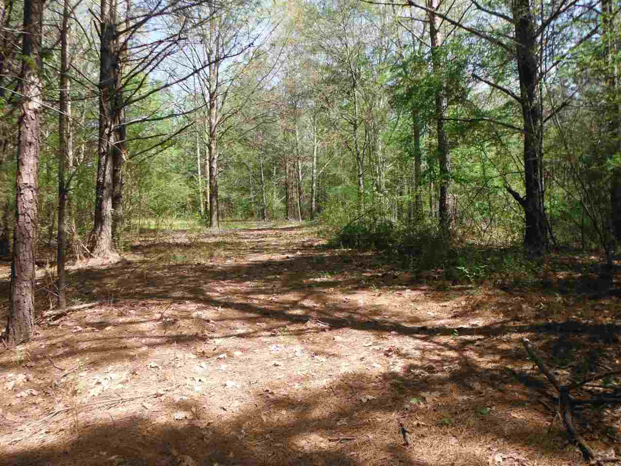 746 Hammond Road Forest, MS 39074 - Photo 25 of 47 Photo 28