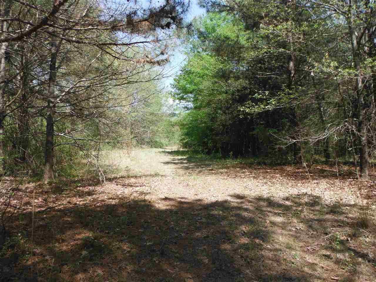 746 Hammond Road Forest, MS 39074 - Photo 26 of 47 Photo 29