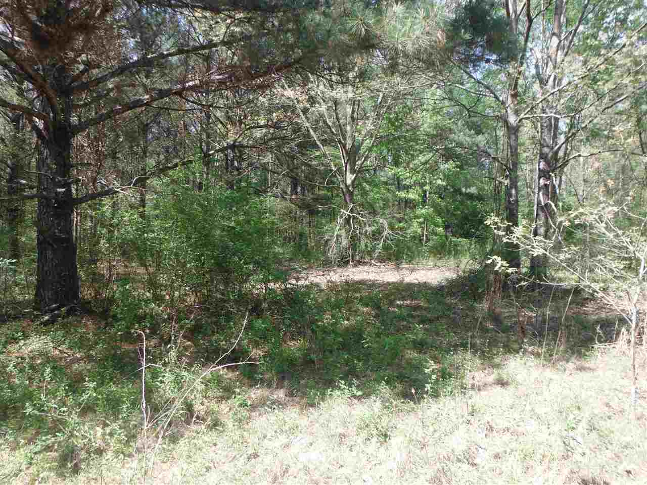 746 Hammond Road Forest, MS 39074 - Photo 27 of 47 Photo 30