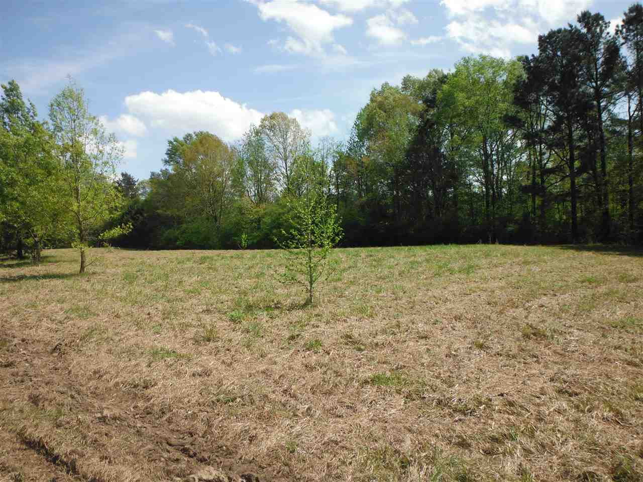 746 Hammond Road Forest, MS 39074 - Photo 28 of 47 Photo 31