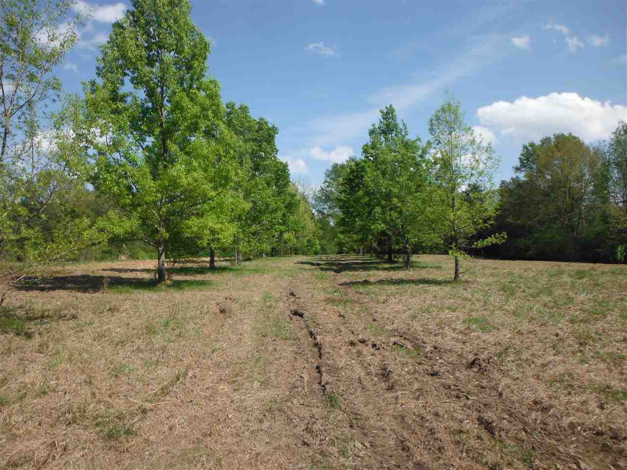 746 Hammond Road Forest, MS 39074 - Photo 29 of 47 Photo 32