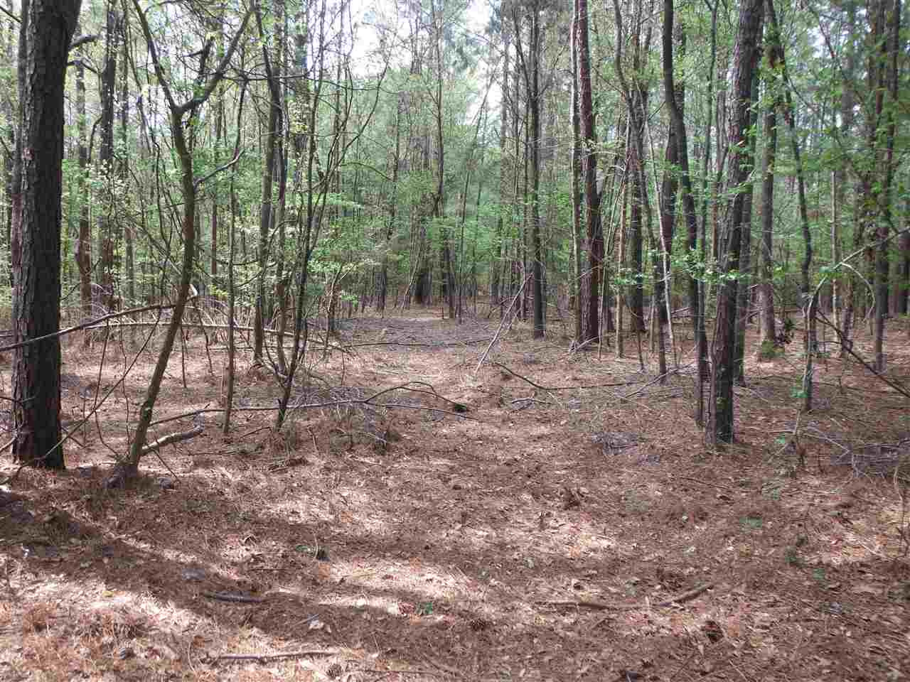 746 Hammond Road Forest, MS 39074 - Photo 3 of 47 Photo 3
