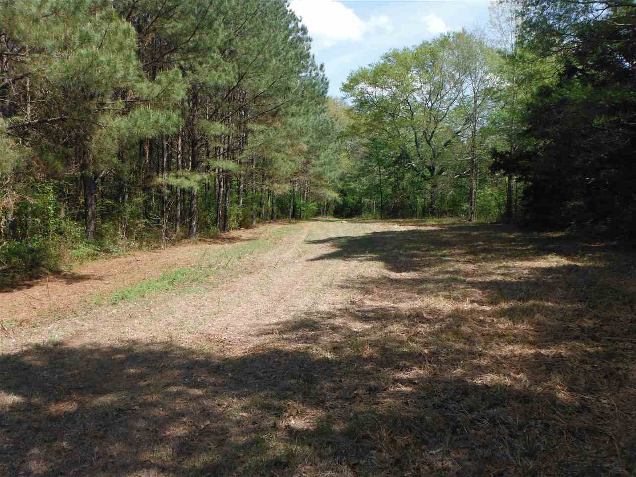 746 Hammond Road Forest, MS 39074 - Photo 35 of 47 Photo 38