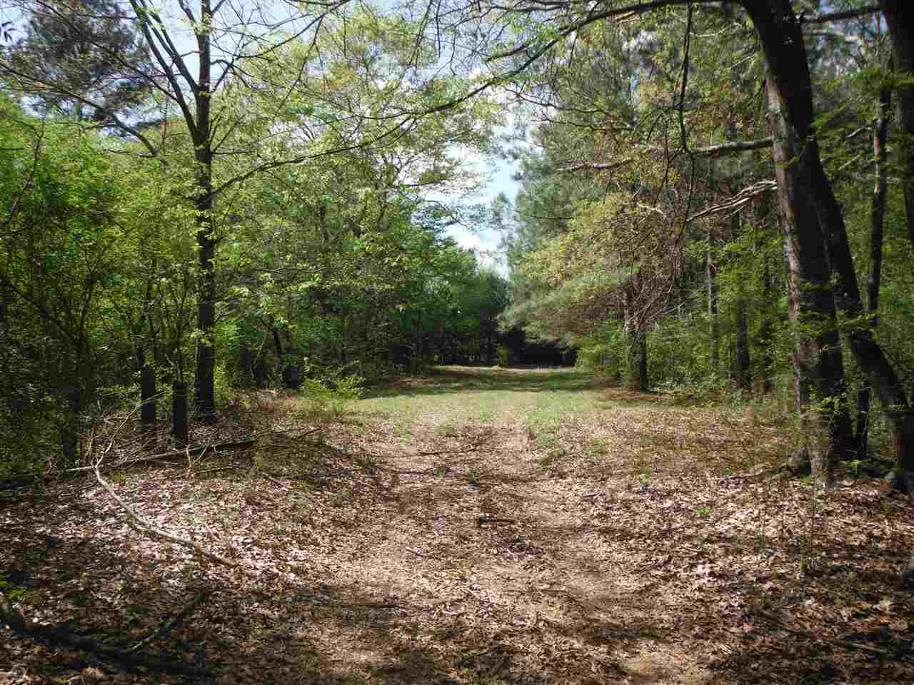 746 Hammond Road Forest, MS 39074 - Photo 37 of 47 Photo 40