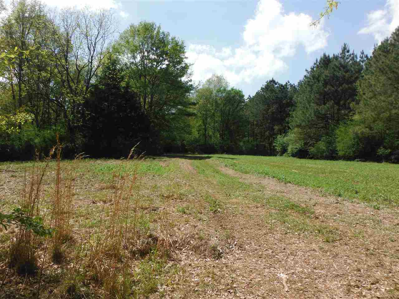 746 Hammond Road Forest, MS 39074 - Photo 38 of 47 Photo 41