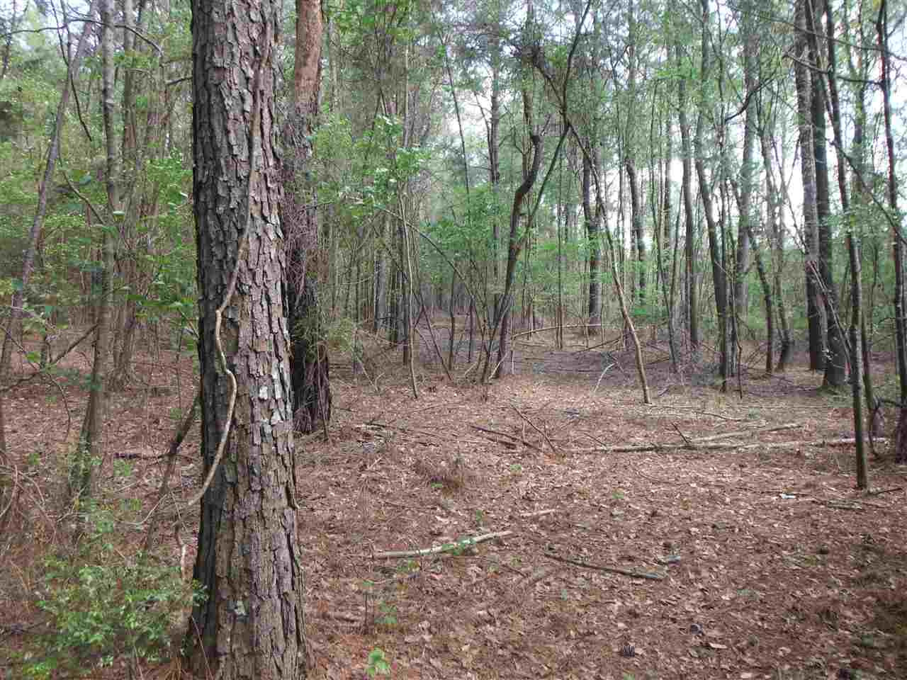 746 Hammond Road Forest, MS 39074 - Photo 4 of 47 Photo 4