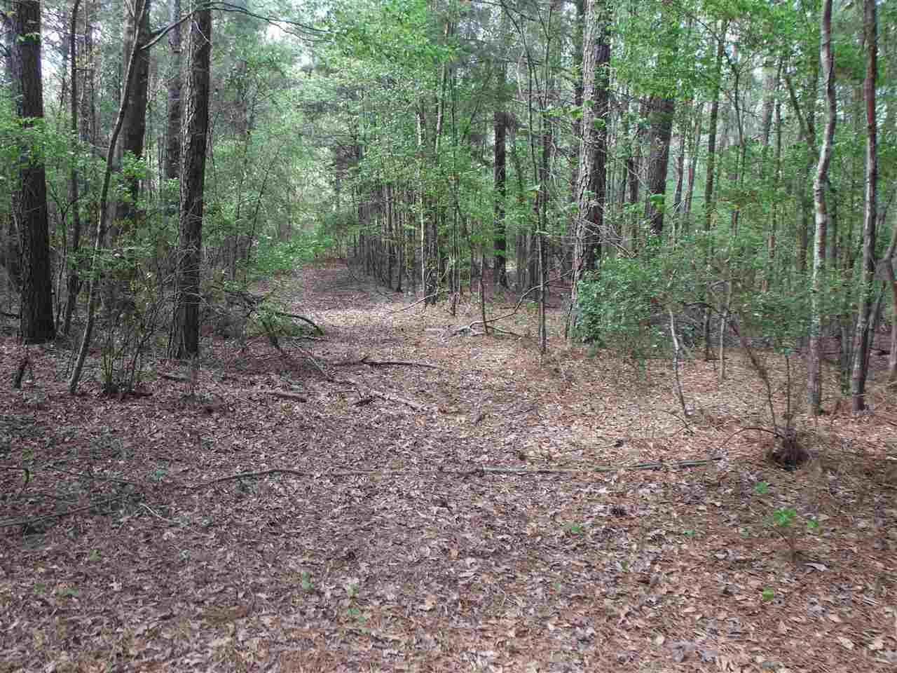 746 Hammond Road Forest, MS 39074 - Photo 5 of 47 Photo 5