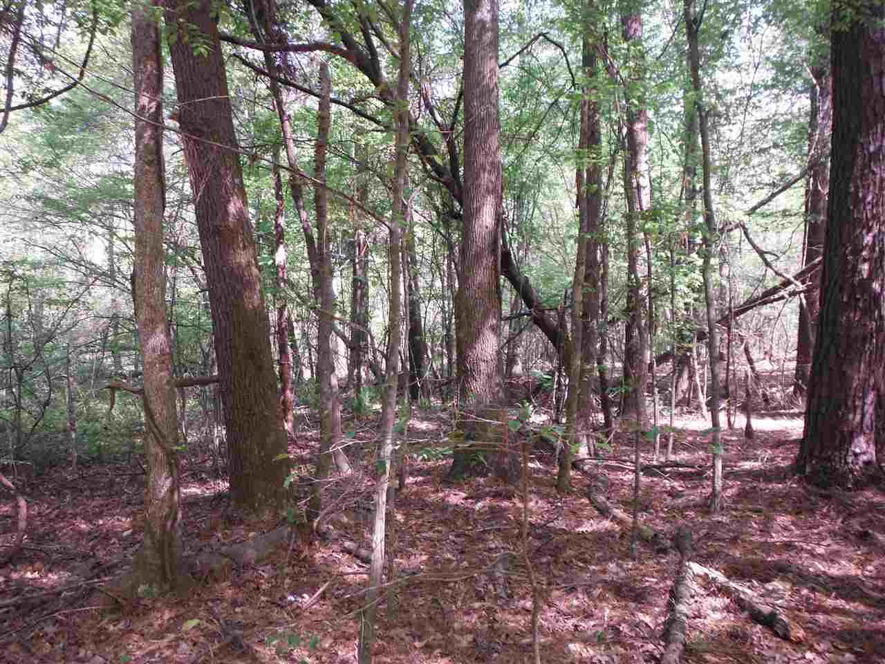 746 Hammond Road Forest, MS 39074 - Photo 6 of 47 Photo 6