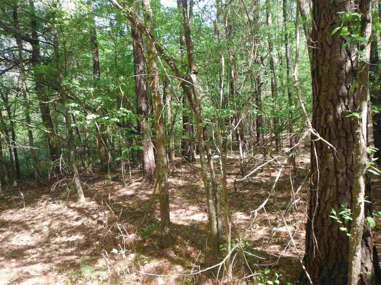 746 Hammond Road Forest, MS 39074 - Photo 7 of 47 Photo 7