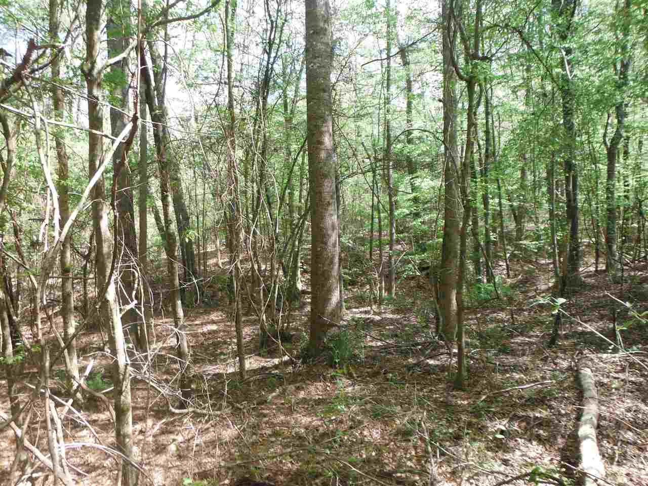 746 Hammond Road Forest, MS 39074 - Photo 8 of 47 Photo 8