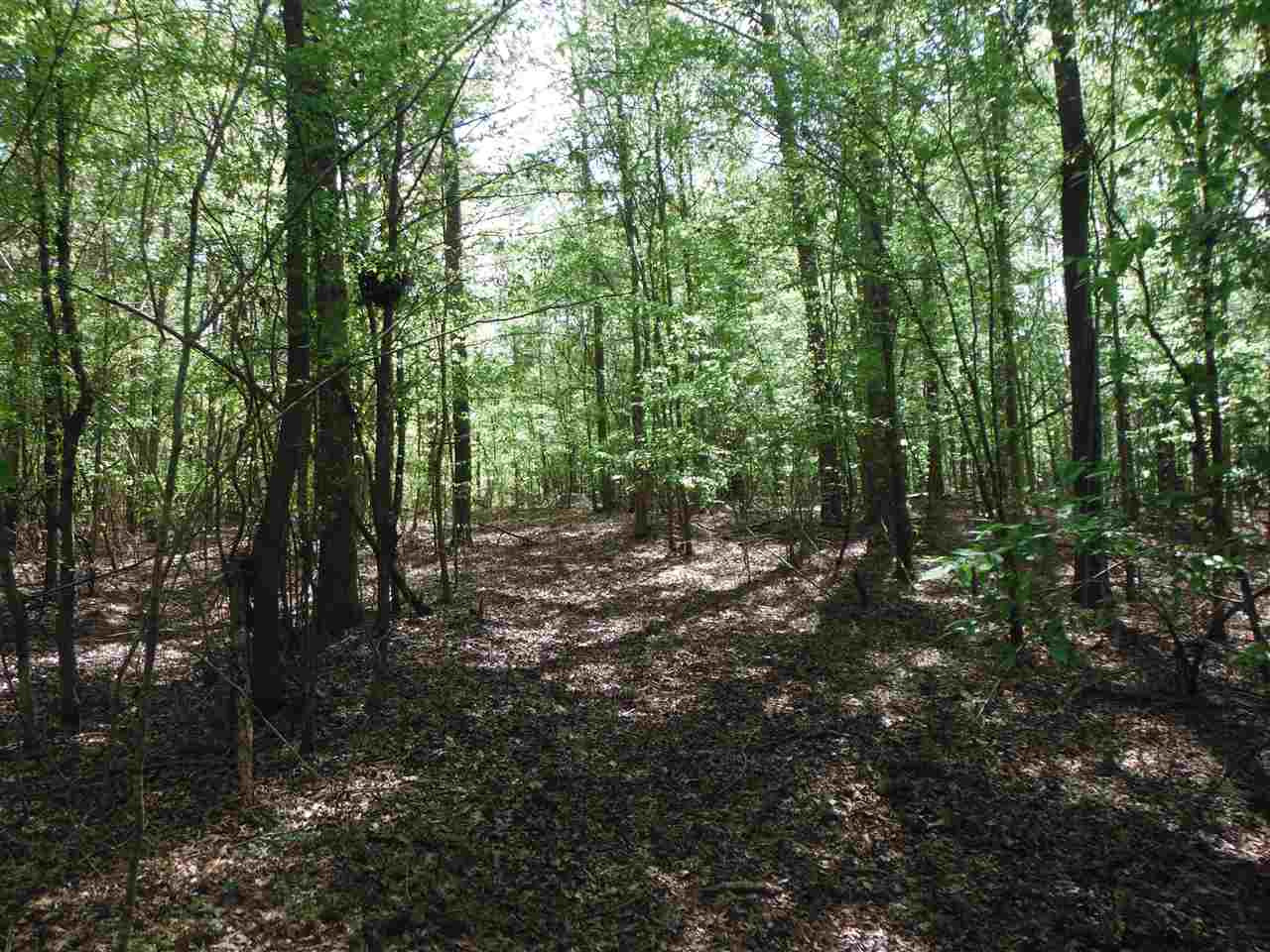 746 Hammond Road Forest, MS 39074 - Photo 9 of 47 Photo 9
