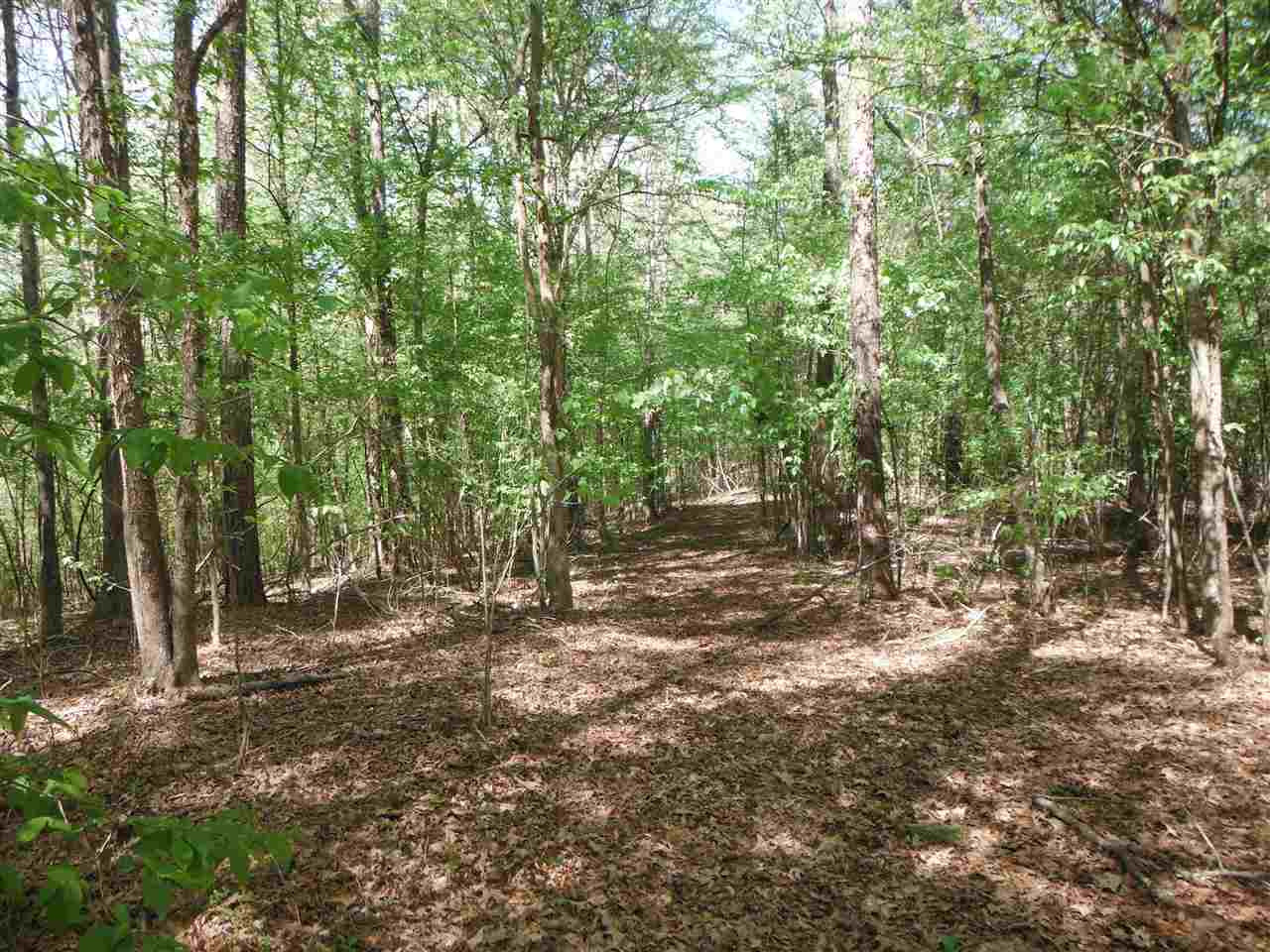 746 Hammond Road Forest, MS 39074 - Photo 10 of 47 Photo 10