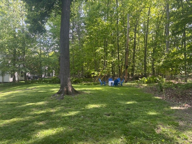 41 South Ridge Trail Perinton, NY 14450 - Photo 45 of 46