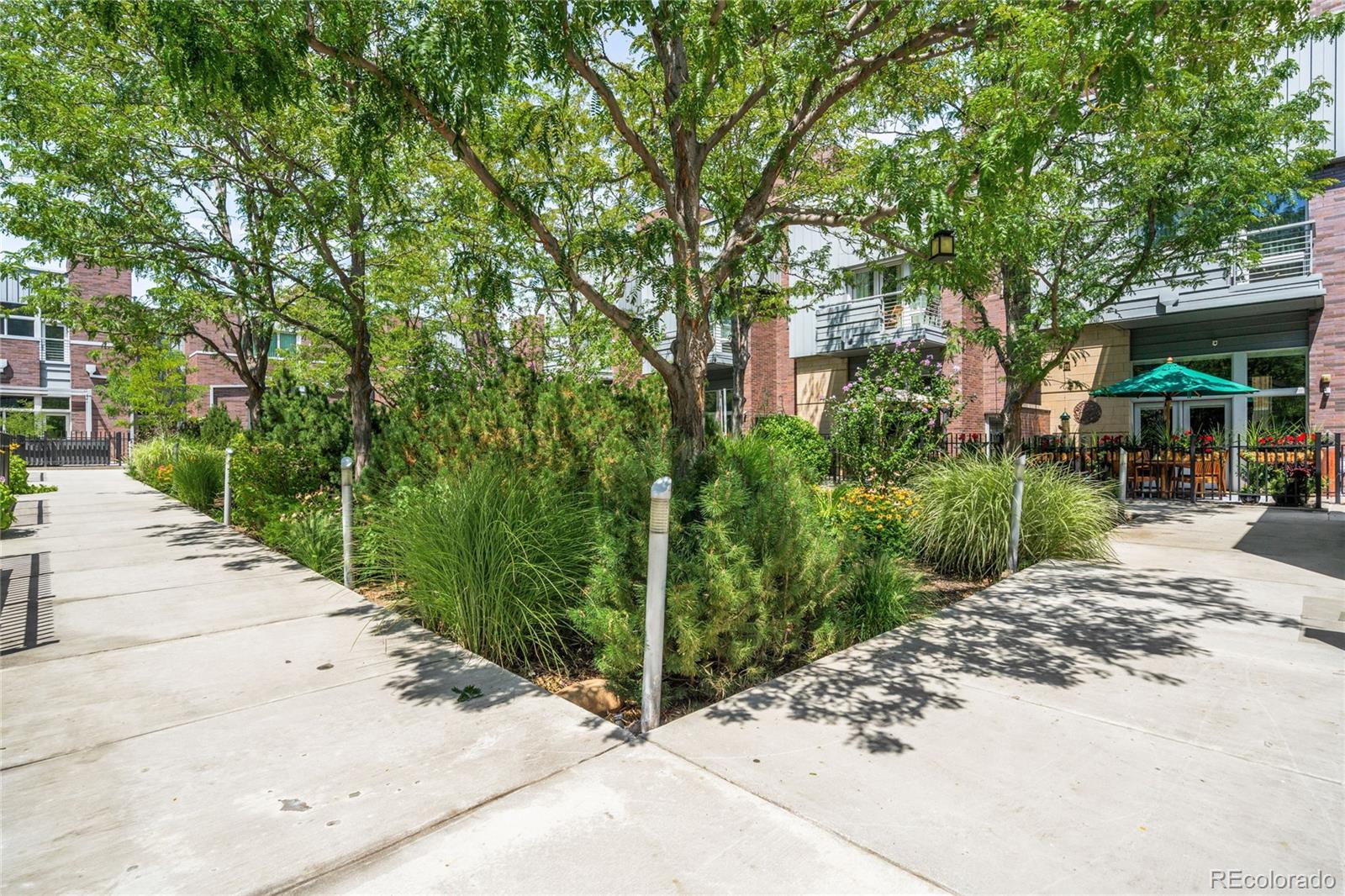 2133 18th Street, Unit RL Denver, CO 80202 - Photo 41 of 46 a view of a park with plants and large trees