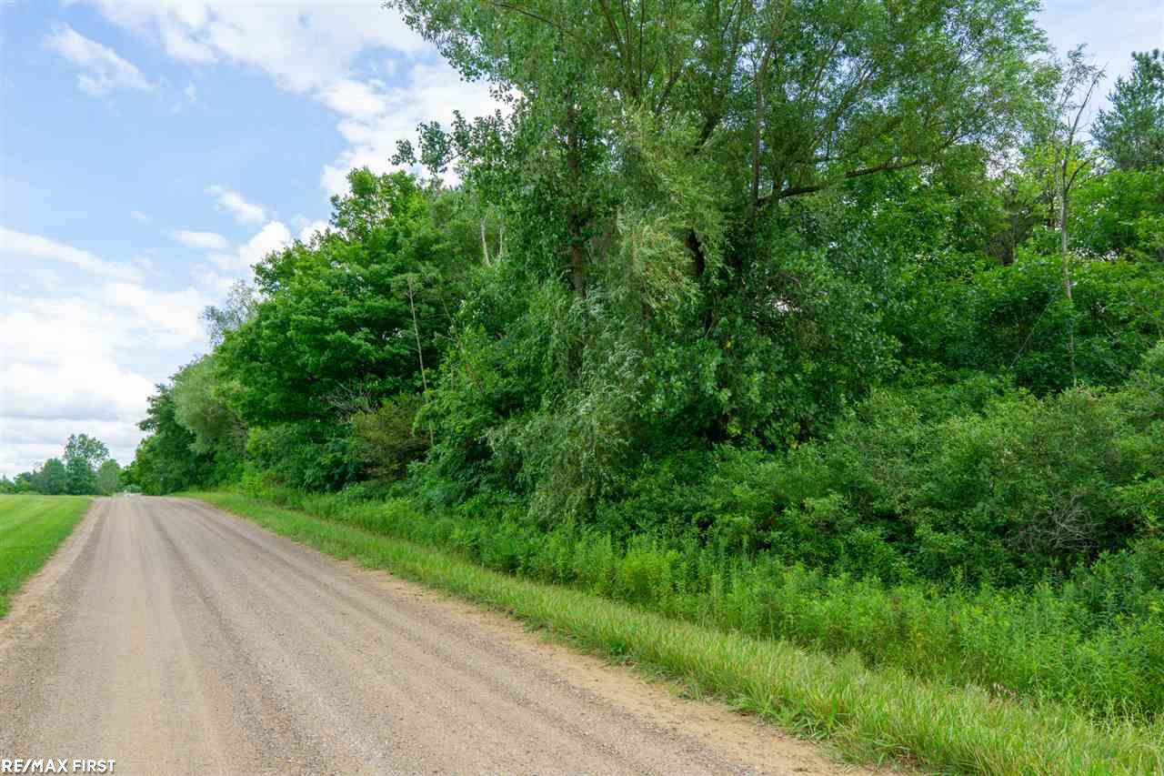 0 Soper Road Marlette, MI 48453 - Photo 5 of 7
