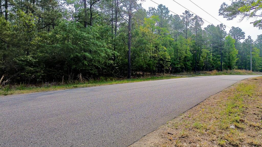 0 Mt Zion Road, Unit 3 Trenton, SC 29847 - Photo 9 of 26