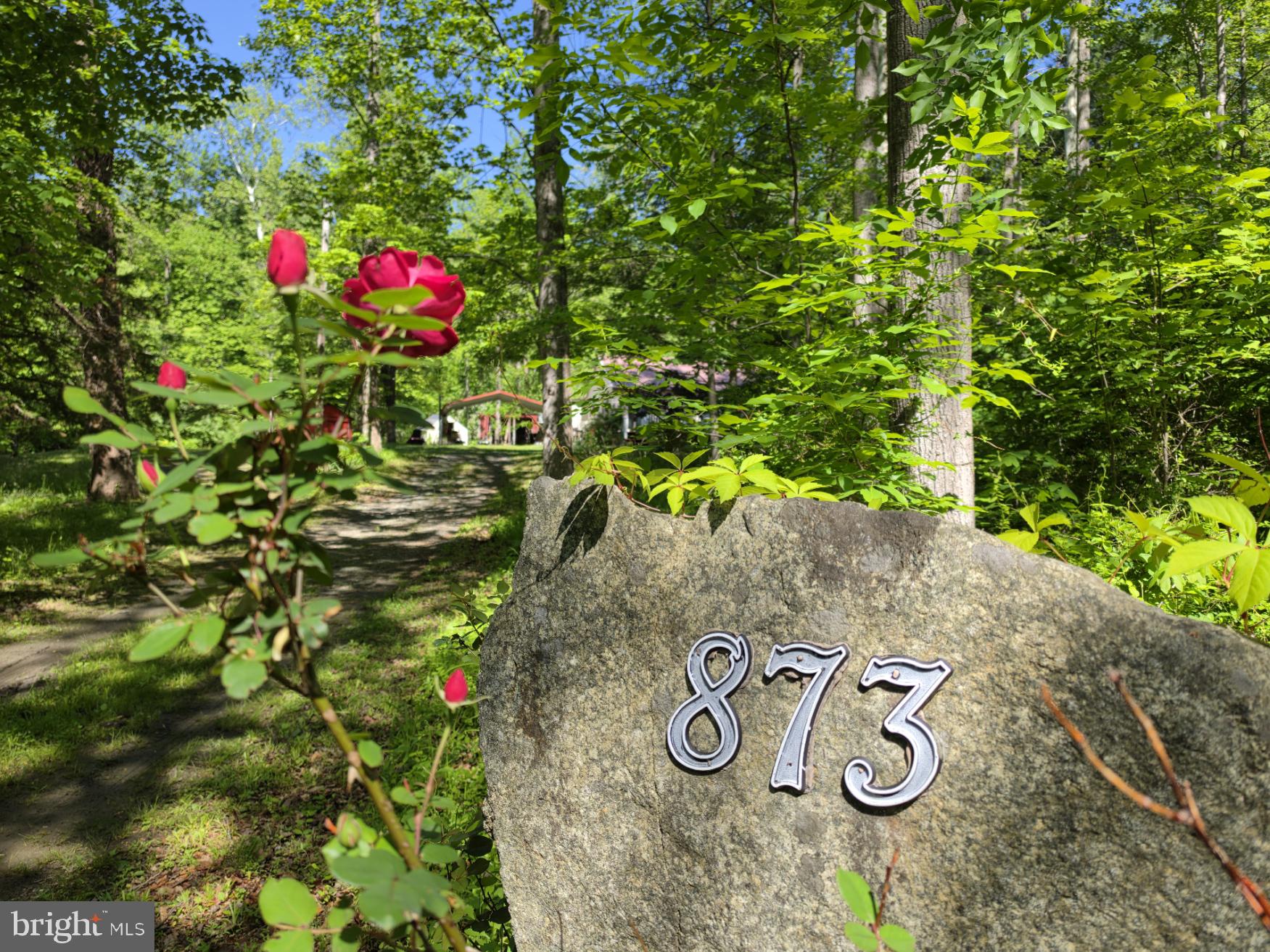 873 Entry Run Road Stanardsville, VA 22973 - Photo 2 of 27