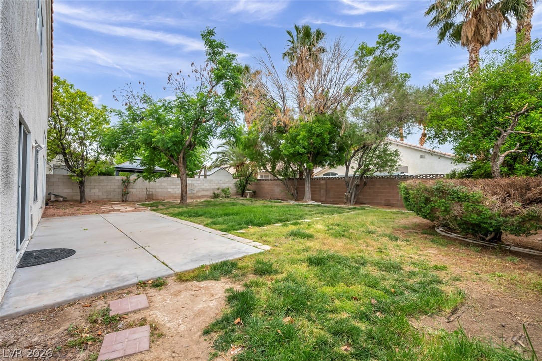 1132 Castle Point Avenue Henderson, NV 89074 - Photo 47 of 59