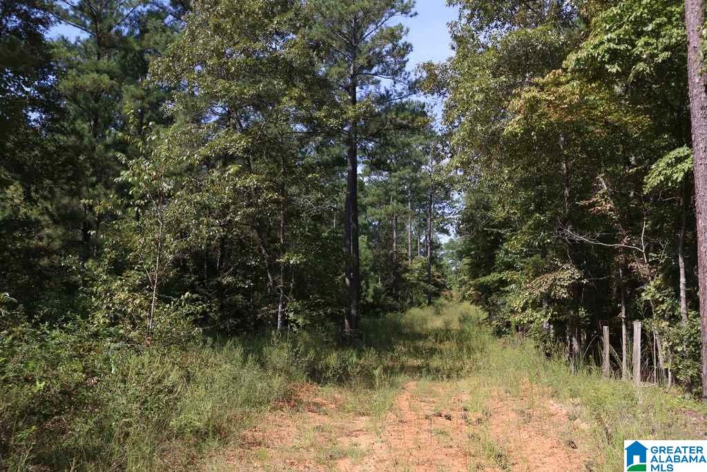 Sprayberry Road, Unit 103 Cropwell, AL 35054 - Photo 39 of 48
