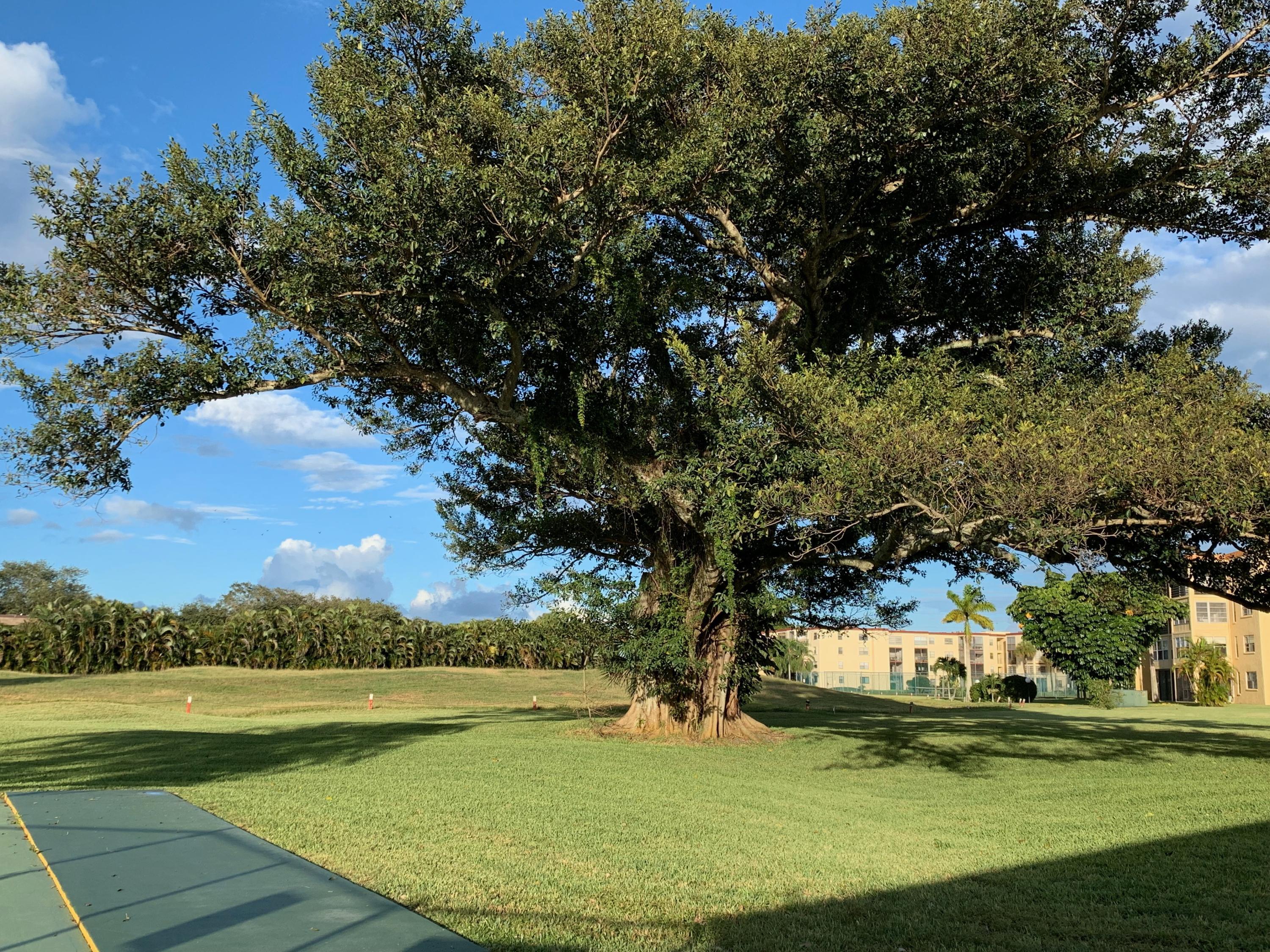 9355 Southwest 8th Street, Unit 202 Boca Raton, FL 33428 - Photo 6 of 88 Back View